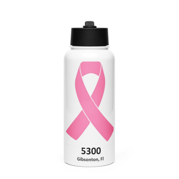 Walmart Stainless Steel Water Bottle with a Straw Lid