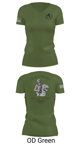 Womens Short Sleeve Vneck Shirt, 2505 EDET, , Teamtime, Team time, sublimation, custom sports apparel, team uniforms, spirit wear, spiritwear, sports uniforms, custom shirts, team store, custom team store, fundraiser sports, apparel fundraiser