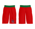 Thomas Worthington High School Basketball 13768606 Mens Soccer Shorts - 31