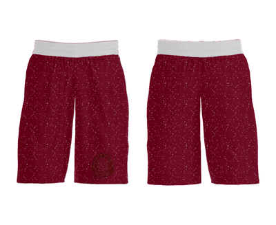 Carolina Christian School (High School) Basketball 22798824 Mens Soccer Shorts - 31