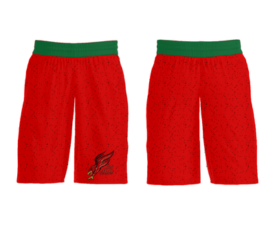 Seventy-First Senior High School Basketball 16394129 Mens Soccer Shorts - 31