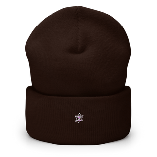 Cook County Sheriff’s Department 90143453 Cuffed Beanie | Yupoong 1501KC