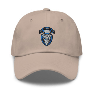 1st Platoon, 95th CBRN 66149028 Classic Dad Hat | Yupoong 6245CM