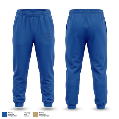 LIONS Sweatpants - 2