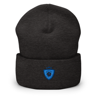 Journey FC Cuffed Beanie | Yupoong 1501KC
