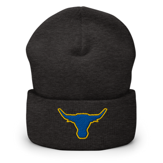 Longhorns Cuffed Beanie | Yupoong 1501KC