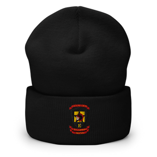 2nd Battalion 5th Marine 36245419 Cuffed Beanie | Yupoong 1501KC
