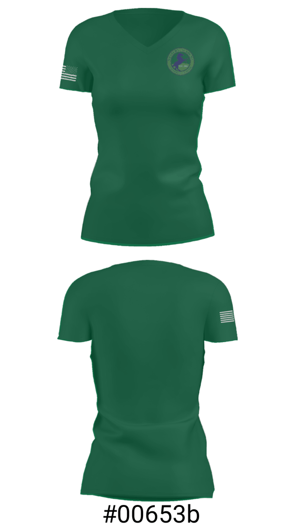Women's Short Sleeve Vneck Shirt, Western Academy Charter School, Spirit Store, Teamtime, Team time, sublimation, custom sports apparel, team uniforms, spirit wear, spiritwear, sports uniforms, custom shirts, team store, custom team store, fundraiser sports, apparel fundraiser
