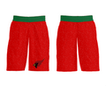 Metamora Township High School Basketball 74754982 Mens Soccer Shorts - 31