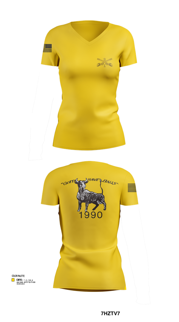 Womens Short Sleeve Vneck Shirt, 2nd Armored Cavalry Regiment, , Teamtime, Team time, sublimation, custom sports apparel, team uniforms, spirit wear, spiritwear, sports uniforms, custom shirts, team store, custom team store, fundraiser sports, apparel fundraiser