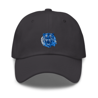 Tigers 5765428 Classic Dad Hat | Yupoong 6245CM