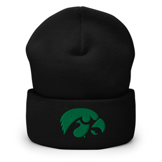 D-R Falcons 66653623 Cuffed Beanie | Yupoong 1501KC