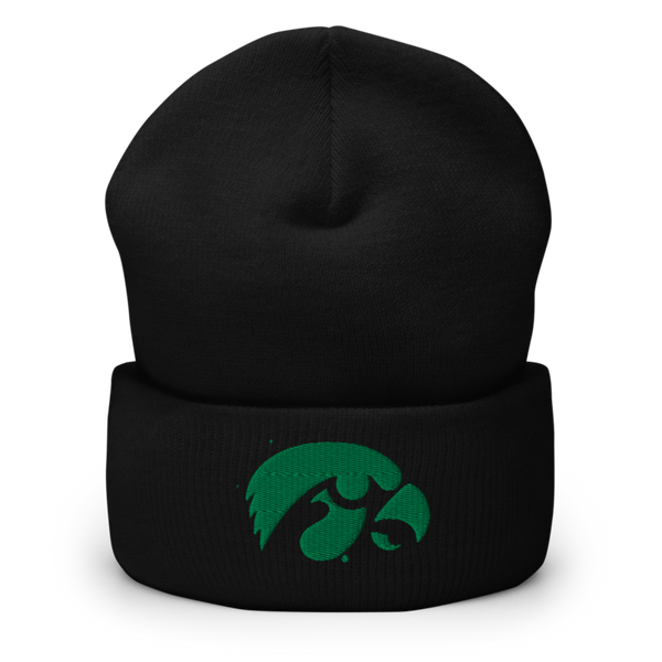 D-R Falcons 66653623 Cuffed Beanie | Yupoong 1501KC