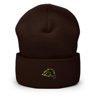 Metea Valley High School Cheer 96396999 Cuffed Beanie | Yupoong 1501KC