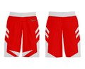 Charlotte Jets Basketball Organization 86916332 Mens Basketball Shorts - 22