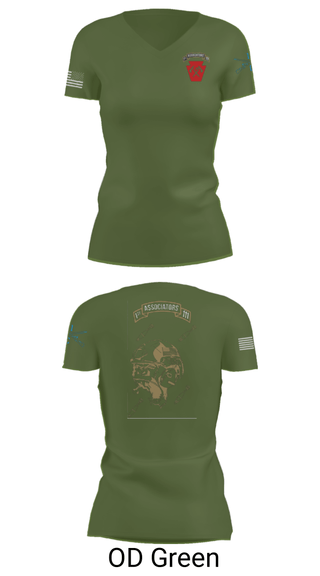 Women's Short Sleeve Vneck Shirt, 1-111th IN BN 38506759, Army, Teamtime, Team time, sublimation, custom sports apparel, team uniforms, spirit wear, spiritwear, sports uniforms, custom shirts, team store, custom team store, fundraiser sports, apparel fundraiser