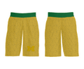 University of Michigan Gymnastics 92290961 Mens Soccer Shorts - 31