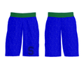 Stratford High School Basketball 5766122 Mens Soccer Shorts - 31
