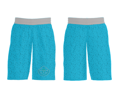 NRV Lady Lightning 69101383 Mens Soccer Shorts - 31