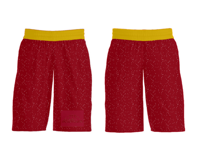 Beth Haven Bearcats 478141 Mens Soccer Shorts - 31