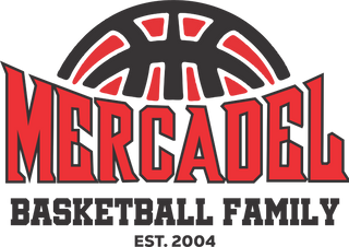 Mercadel Basketball Stainless Steel Water Bottle with a Straw Lid