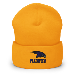 Plainview Hawks 8354559 Cuffed Beanie | Yupoong 1501KC