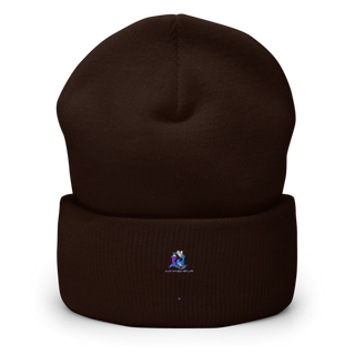 Blue Sky Remodeling Cuffed Beanie | Yupoong 1501KC