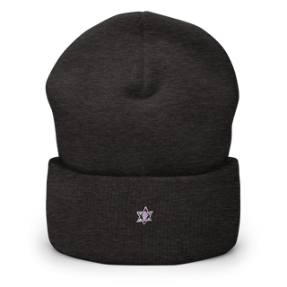 Cook County Sheriff’s Department 90143453 Cuffed Beanie | Yupoong 1501KC