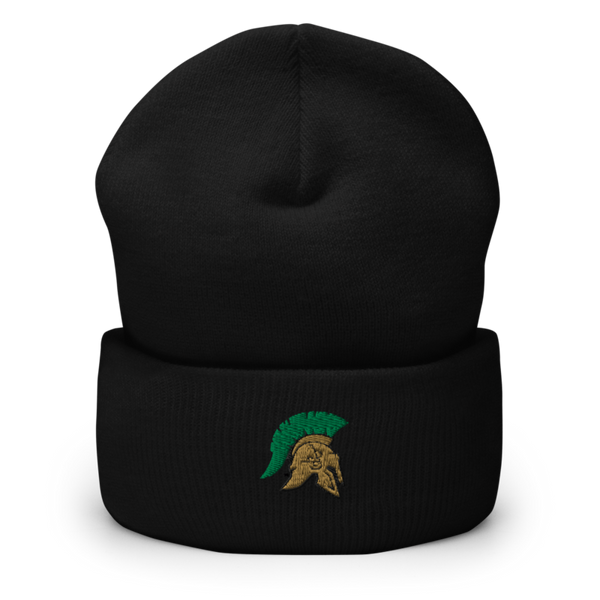 Aurora Central High School Dance 42464760 Cuffed Beanie | Yupoong 1501KC