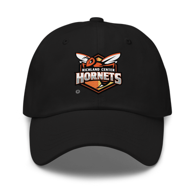 Hornets Dad hat