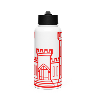 206th EN BN 40191270 Stainless Steel Water Bottle with a Straw Lid
