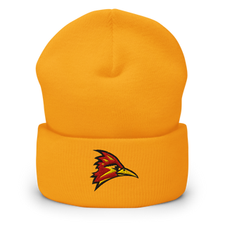 College of the Desert Golf 91548772 Cuffed Beanie | Yupoong 1501KC