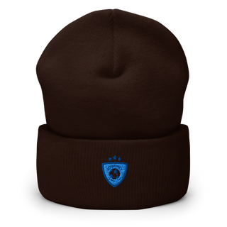 Journey FC Cuffed Beanie | Yupoong 1501KC