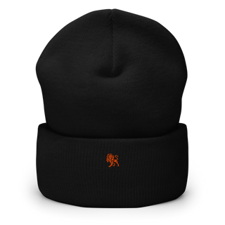 Lions Defense 6766522 Cuffed Beanie | Yupoong 1501KC