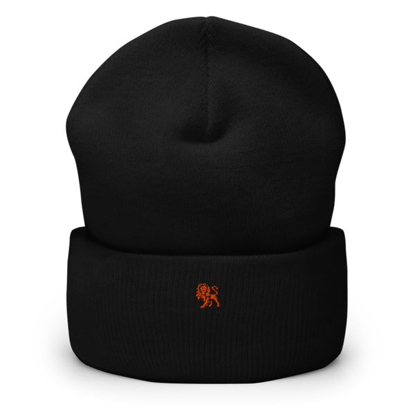 Lions Defense 6766522 Cuffed Beanie | Yupoong 1501KC