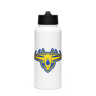 All Flier’d Up Stainless Steel Water Bottle with a Straw Lid
