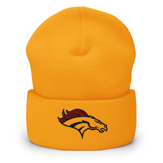 Bullitt East High School Band 45742333 Cuffed Beanie | Yupoong 1501KC