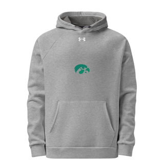 D-R Falcons 66653623 Under Armour Hoodie