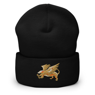 The Palmdale Aerospace Academy Cross Country 45679690 Cuffed Beanie | Yupoong 1501KC