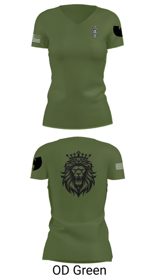 Womens Short Sleeve Vneck Shirt, Vikings, , Teamtime, Team time, sublimation, custom sports apparel, team uniforms, spirit wear, spiritwear, sports uniforms, custom shirts, team store, custom team store, fundraiser sports, apparel fundraiser