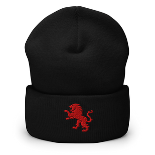 Dulaney Lions Baseball 10641314 Cuffed Beanie | Yupoong 1501KC