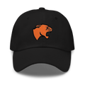 Panthers Dad hat