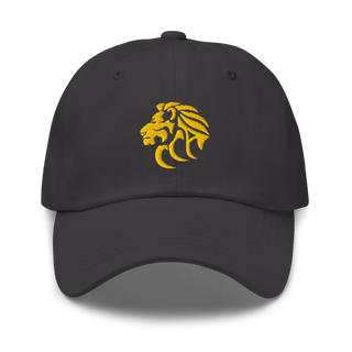 Wichita Lions 53633609 Classic Dad Hat | Yupoong 6245CM