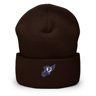 Plainview Little League 37284213 Cuffed Beanie | Yupoong 1501KC