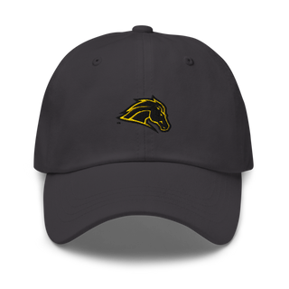 Metea Valley High School Cheer 96396999 Classic Dad Hat | Yupoong 6245CM