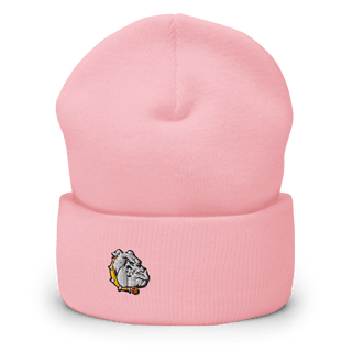 Rudyard Senior High School 10643108 Cuffed Beanie | Yupoong 1501KC