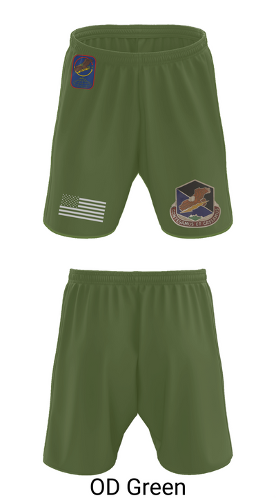 100th Missile Defense Brigade 43971287 Athletic Shorts With Pockets - 49