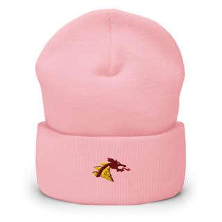 Belle Plaine High School 53594491 Cuffed Beanie | Yupoong 1501KC