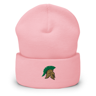 Aurora Central High School Dance 42464760 Cuffed Beanie | Yupoong 1501KC