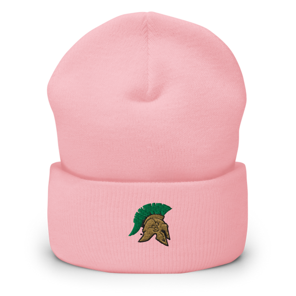 Aurora Central High School Dance 42464760 Cuffed Beanie | Yupoong 1501KC